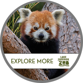 Check out a pass to the Lake Superior Zoo!
