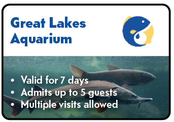 Great Lake Aquarium