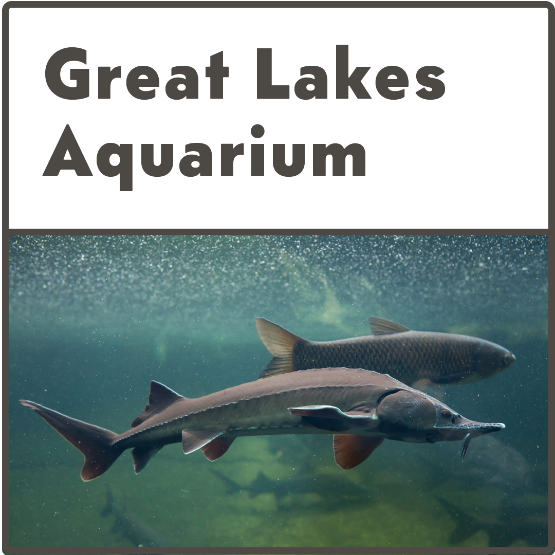 Great Lakes Aquarium